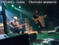 /album/a20081/obraz083-jpg/